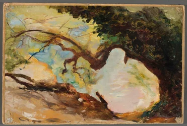 Trees in Alupka. From a Journey to Crimea