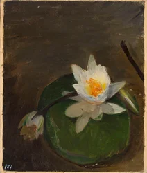 Two Water Lilies on a Leaf