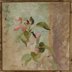 Apple Blossoms