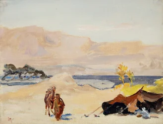 Dead Sea. From a Journey to Palestine