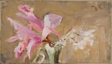 Orchid
