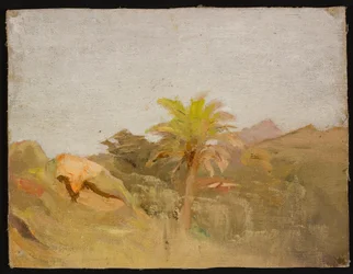 Palm in Ceylon. From a Journey to India