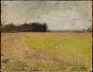 Landscape from Finland