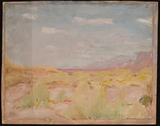 Steppe (Transcaspian Region). From a journey to Turkestan
