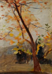 Tree Sketch - Massandra. From a Journey to Crimea