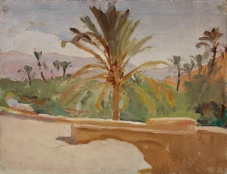 Biskra (Oasis with Palm Trees)
