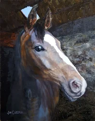 Horse In Stable Light