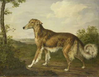 Siberian Greyhound, c.1825