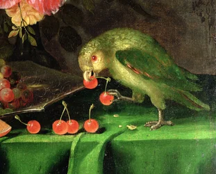 Still Life of Fruit and Flowers, Detail of a Parrot, Detail of 100411