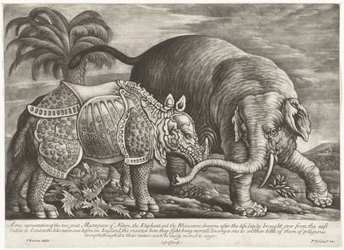 Elephant and Rhinoceros