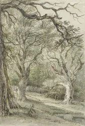 Forest View