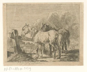Meadow with Two Horses