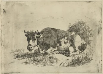Lying Cow