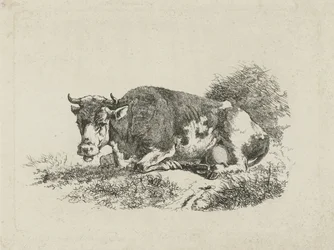 Lying Cow