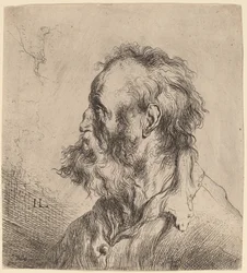 Bust of a Bearded Old Man