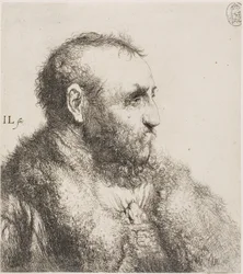 Bust of an Old Man