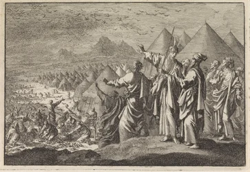Quails in the Desert
