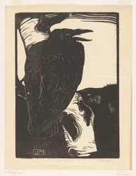 Raven on Birch Tree