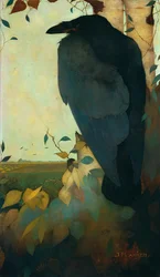 Raven on a Birch Tree