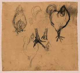 Studies of a Rooster and a Hen