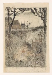 Garden in Autumn