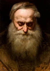 Head of an Old Man with a Grey Beard