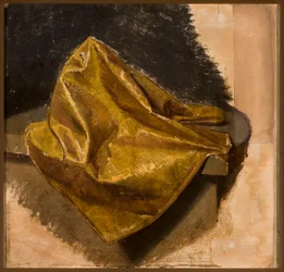 Golden fabric, study for men