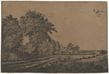 Country Road with Trees