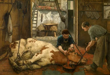 Slaughtering