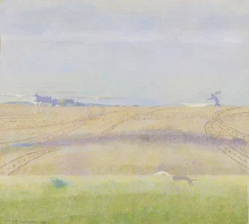 Fog Over the Sea