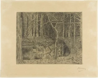 Woodland with a Pond and Swans
