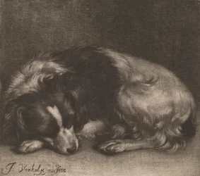 A Sleeping Dog