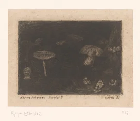 Mushrooms