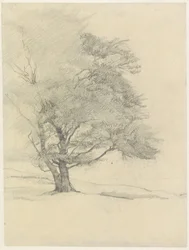 The Painter