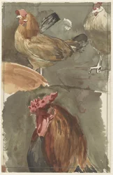 Rooster with Hens