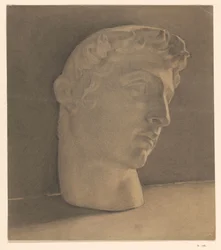 Study of a Plaster Head