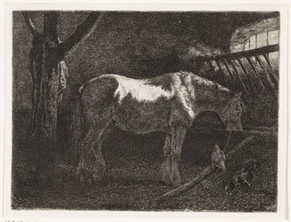 Horse in Stable