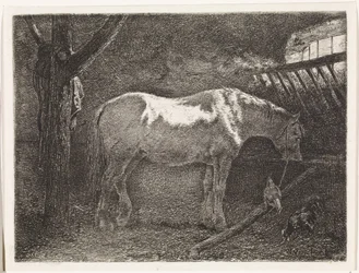 Horse in Stable
