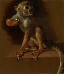 A Seated Monkey