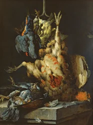 Still Life