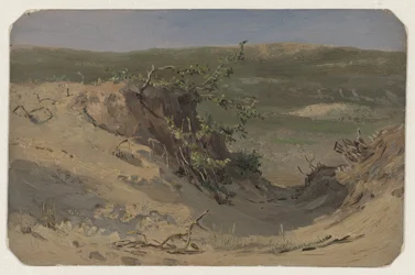 Dune Pan