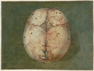 Prints of the Brain and the Heart