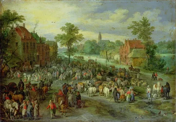 Unknown Image
