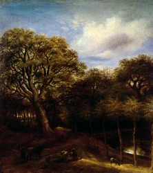 Unknown Image