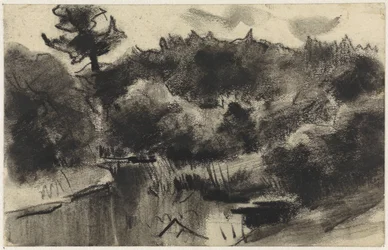 Forest Pond
