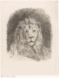 Head of a Lion