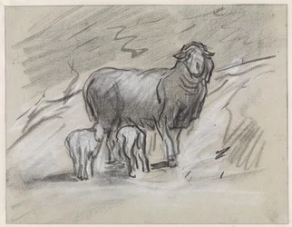 Sheep with Two Lambs