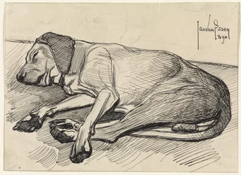 Sleeping Dog, Facing Left