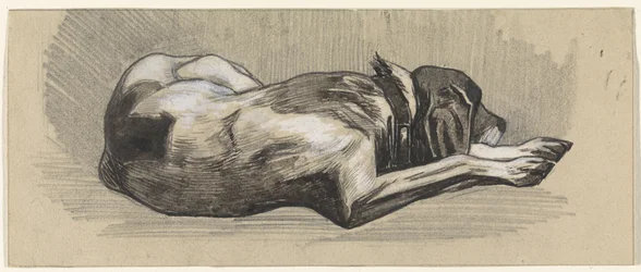 Sleeping Dog, Facing Right