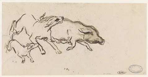 Two Dogs Chasing a Pig